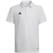 T-shirt Korte Mouw adidas Entrada 22