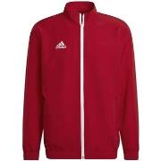 Sweater adidas Entrada 22 Presentation