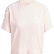 T-shirt Korte Mouw adidas IY4227