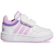 Lage Sneakers adidas IF7734