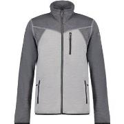 Fleece Jack Icepeak Berthold