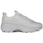 Lage Sneakers Fila Loligo