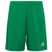 Korte Broek adidas Entrada 22 JR