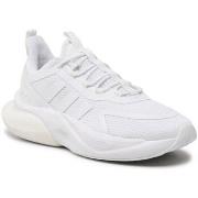 Lage Sneakers adidas HP6143