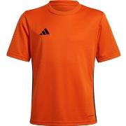 T-shirt Korte Mouw adidas JJ1157