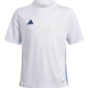 T-shirt Korte Mouw adidas JJ1154