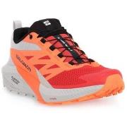 Hardloopschoenen Salomon Sense Ride 5