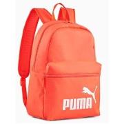 Rugzak Puma Phase Backpack