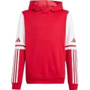 Sweater adidas Squadra 25