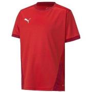 T-shirt Korte Mouw Puma Teamgoal 23 Jersey