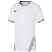 T-shirt Korte Mouw Puma Teamgoal 23 Jersey