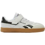 Lage Sneakers Reebok Sport Smash Edge