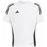 T-shirt Korte Mouw adidas Tiro 24 Jersey Jr