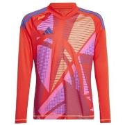 T-shirt Korte Mouw adidas IN0431