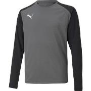Sweater Puma Teampacer Gk