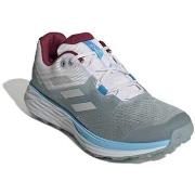 Hardloopschoenen adidas Terrex Two Flow