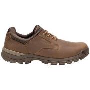 Lage Sneakers Caterpillar Cat Threshold