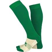Sportsokken Errea Calza C/P Transpir Pa Junior