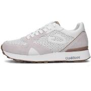 Lage Sneakers Alberto Guardiani AGM451400