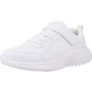 Lage Sneakers Skechers BOUNDER POWER STUDY