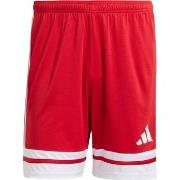 Korte Broek adidas Squadra 25