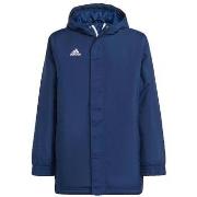 Donsjas adidas Doudoune Entrada 22 Stadium