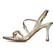 Pumps Albano 5374