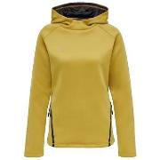 Sweater hummel Sweat à capuche Cima XK