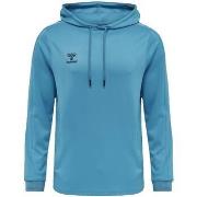 Sweater hummel Sweat à capuche Core XK Poly