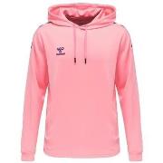 Sweater hummel Sweat à capuche Core XK