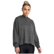 Sweater Under Armour Sweat Under Armour Rival Terry gris
