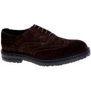 Nette Schoenen Arcuri 146065