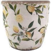 Vazen, potten voor binnen Signes Grimalt Citroenen Plantenbak