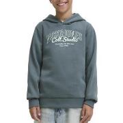 Sweater Jack &amp; Jones -