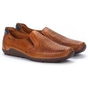 Instappers Pikolinos Azores