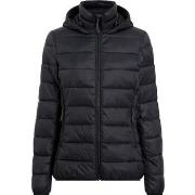 Windjack Mckinley Erika