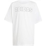 T-shirt Korte Mouw adidas in1908