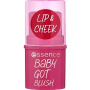 Blush &amp; poeder Essence Baby Got Blush Wangensticks