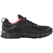 Lage Sneakers Reebok Sport Ridgerider 6 Gtx
