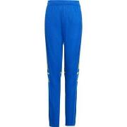 Trainingsbroek adidas Squadra 25