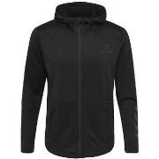 Sweater hummel Sweat à capuche zippé Aston