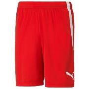 Korte Broek Puma Shorts TeamLiga Performance Rouge
