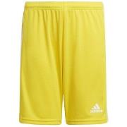 Korte Broek adidas JR Squadra 21