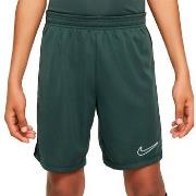 Korte Broek Nike Academy