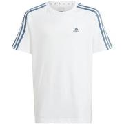 T-shirt Korte Mouw adidas T-shirt Essentials 3-Stripes blanc