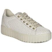 Lage Sneakers IgI&amp;CO 5666011