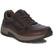 Lage Sneakers Rieker 1100125