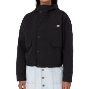 Blazer Dickies -