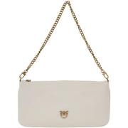 Handtasje Pinko HORIZONTAL FLAT VITELLO SETA 102747 A0F1