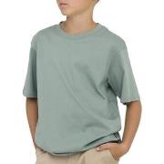 T-shirt Korte Mouw Only &amp; Sons -